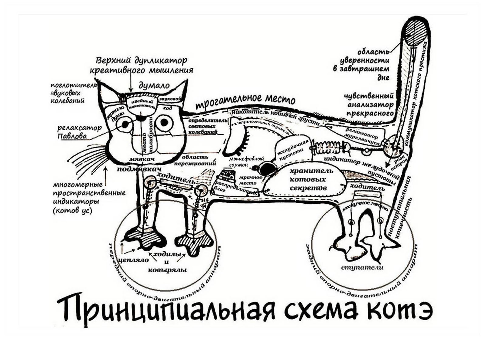 Схема кота прикол