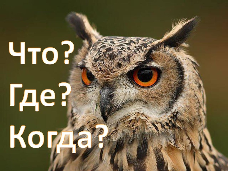 Файл:ТУРНИРЫ.pdf