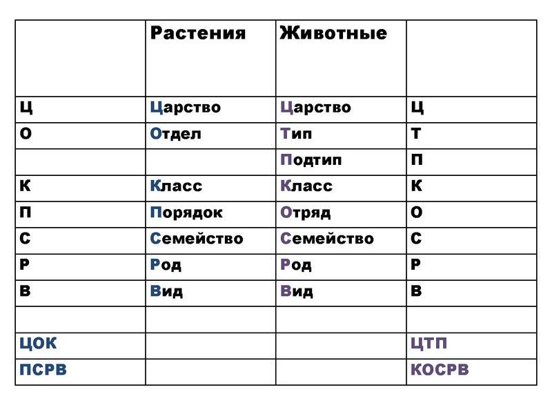 Файл:БИО Шабанова.pdf
