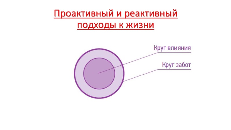 Файл:Семинар-практикум на Управленческий старт-ап 18.03.2025.pdf