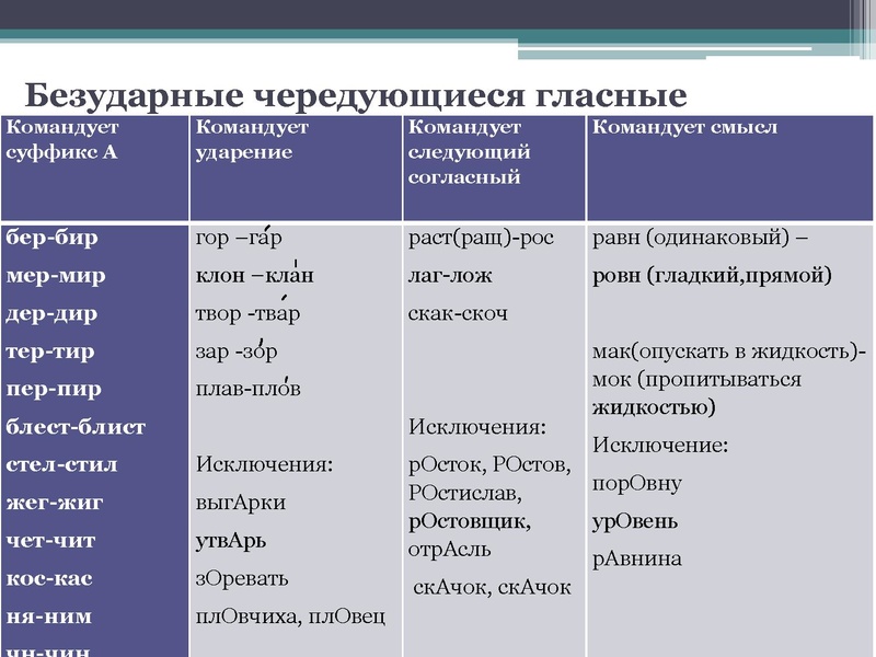 Файл:Громова Е.А..pdf