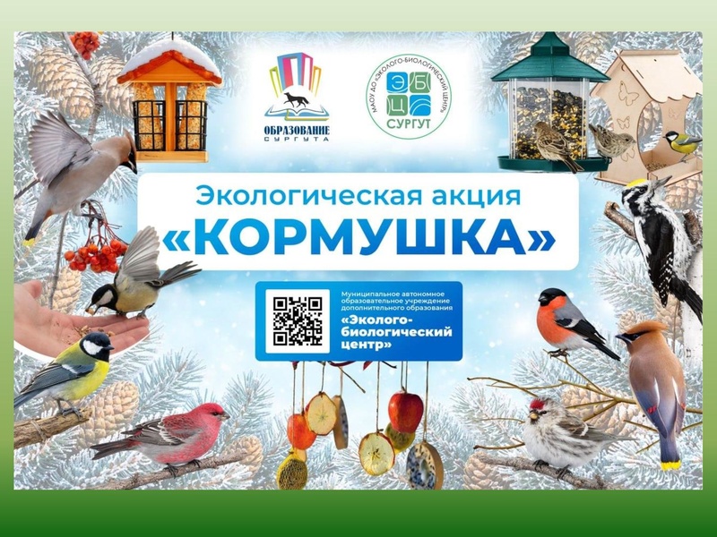 Файл:МАОУ ДО ЭБЦ. Городские мероприятия.pdf