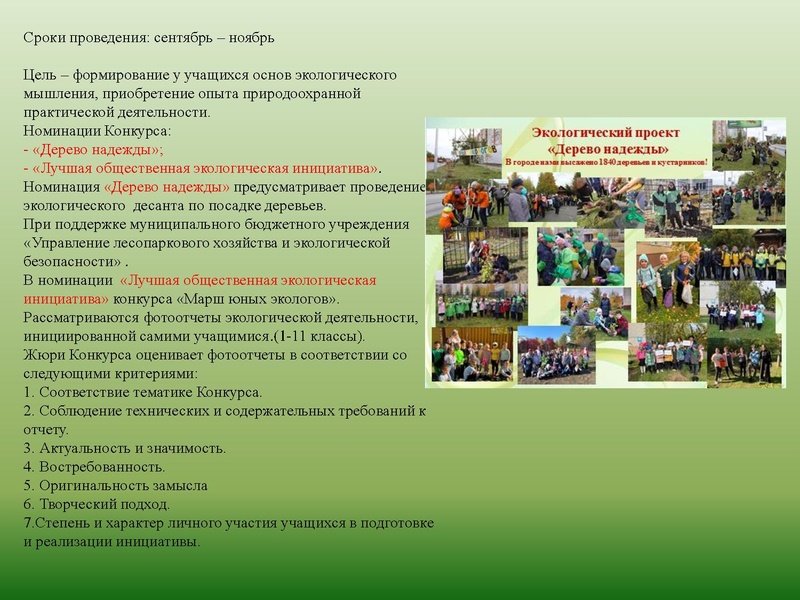 Файл:МАОУ ДО ЭБЦ. Городские мероприятия.pdf