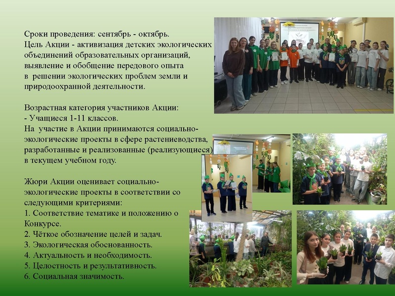 Файл:МАОУ ДО ЭБЦ. Городские мероприятия.pdf