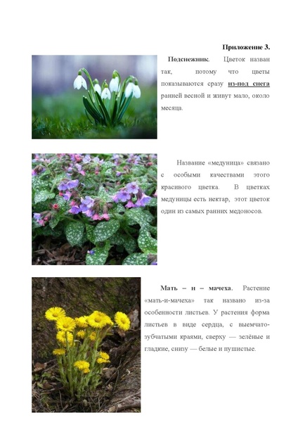 Файл:Малинина Ю.А..pdf