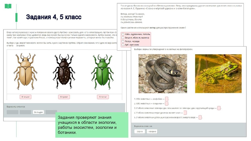 Файл:ЯКласс Головина Ю.А..pdf