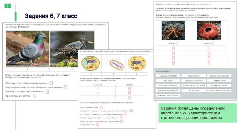 Файл:ЯКласс Головина Ю.А..pdf