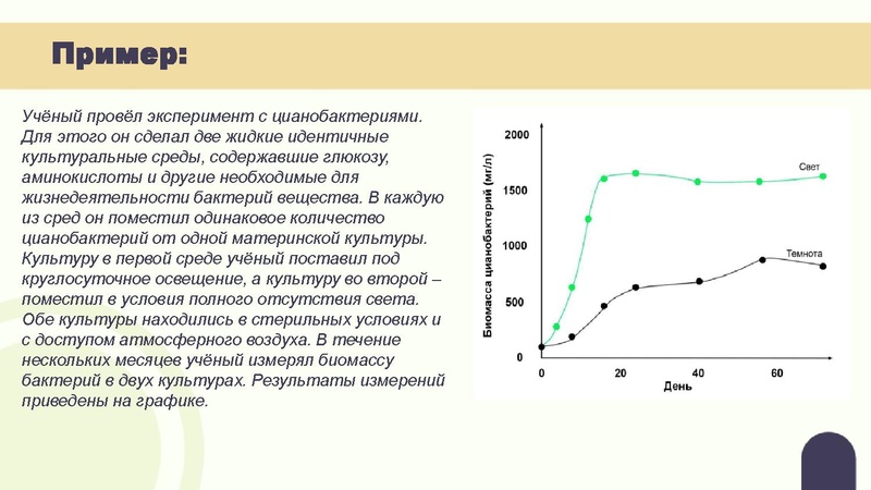 Файл:Вебинар 02.03.pdf