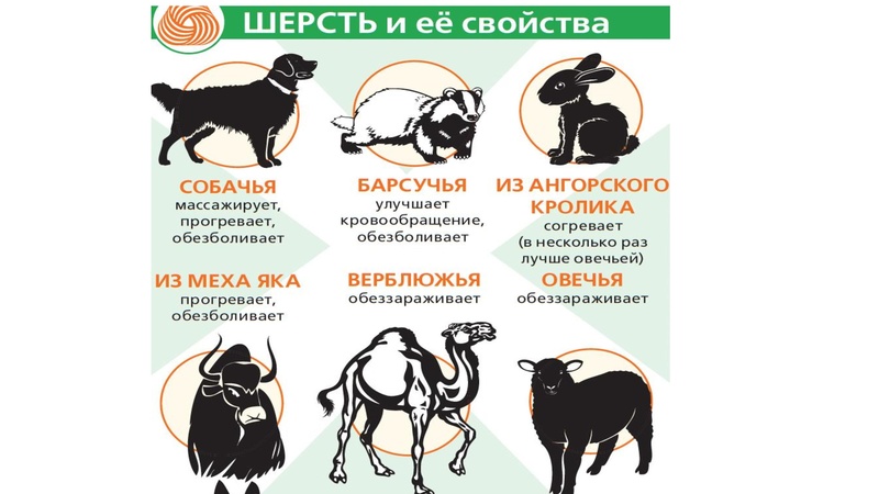 Файл:Выступление валяние.pdf