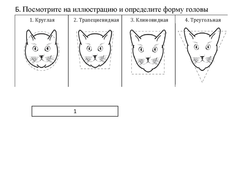 Файл:Петренко ЕН.pdf