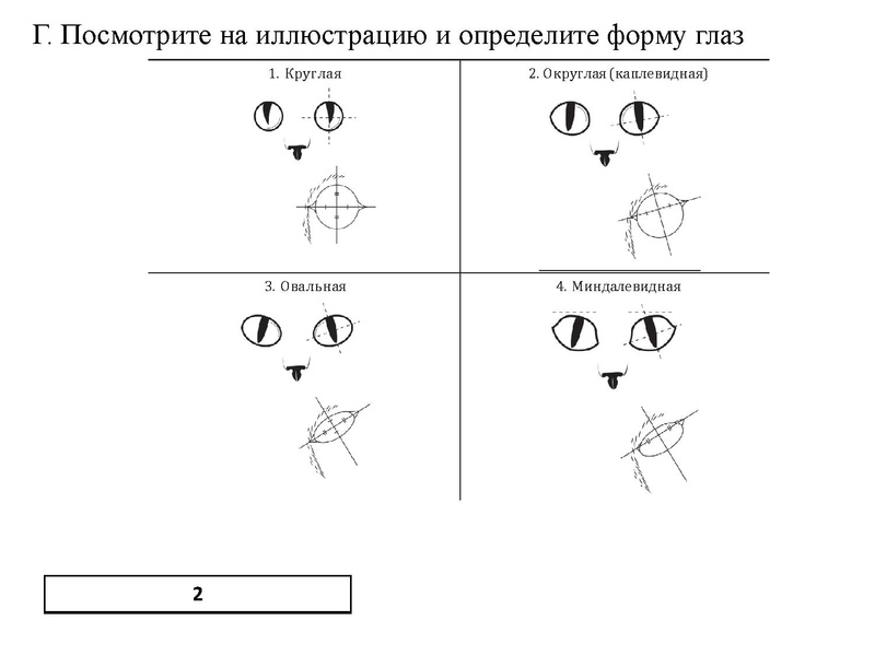 Файл:Петренко ЕН.pdf