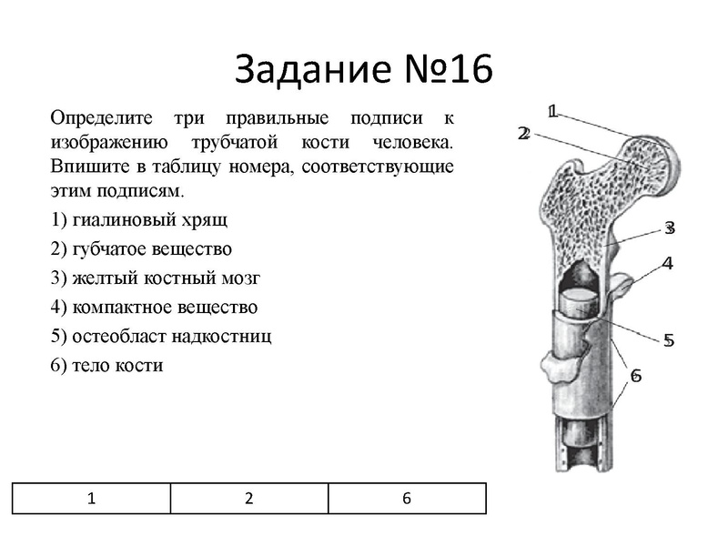 Файл:Петренко ЕН.pdf
