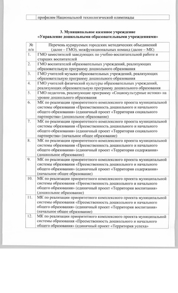 Файл:Руководитель МФК приказ.pdf