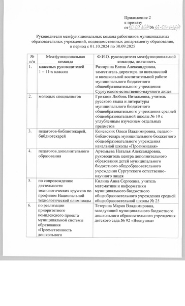 Файл:Руководитель МФК приказ.pdf