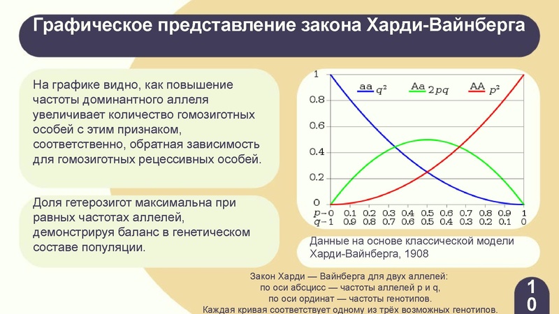 Файл:Вебинар ЕГЭ 2026 закон Харди- Вайнберга Скоробогатова А.В..pdf