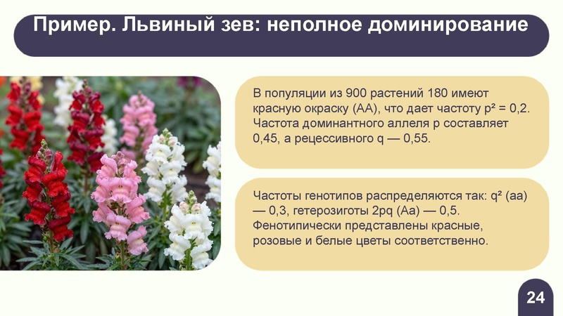 Файл:Вебинар ЕГЭ 2026 закон Харди- Вайнберга Скоробогатова А.В..pdf
