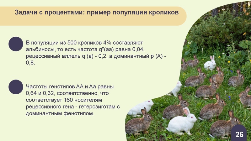 Файл:Вебинар ЕГЭ 2026 закон Харди- Вайнберга Скоробогатова А.В..pdf