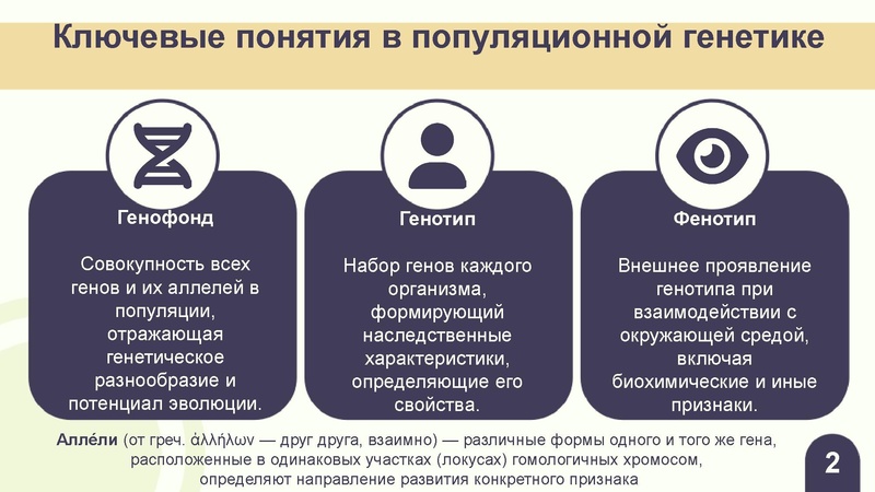 Файл:Вебинар ЕГЭ 2026 закон Харди- Вайнберга Скоробогатова А.В..pdf