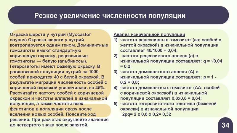 Файл:Вебинар ЕГЭ 2026 закон Харди- Вайнберга Скоробогатова А.В..pdf