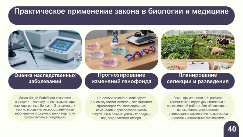 Файл:Вебинар ЕГЭ 2026 закон Харди- Вайнберга Скоробогатова А.В..pdf