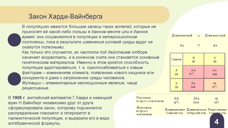 Файл:Вебинар ЕГЭ 2026 закон Харди- Вайнберга Скоробогатова А.В..pdf