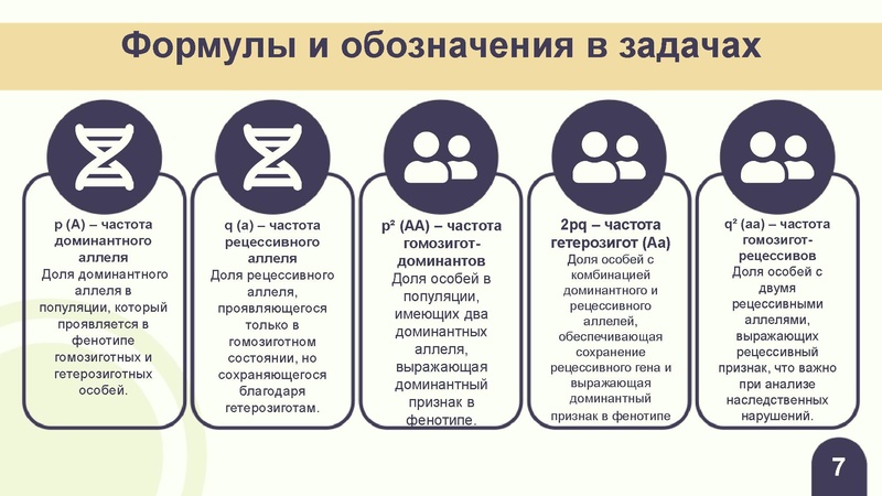 Файл:Вебинар ЕГЭ 2026 закон Харди- Вайнберга Скоробогатова А.В..pdf
