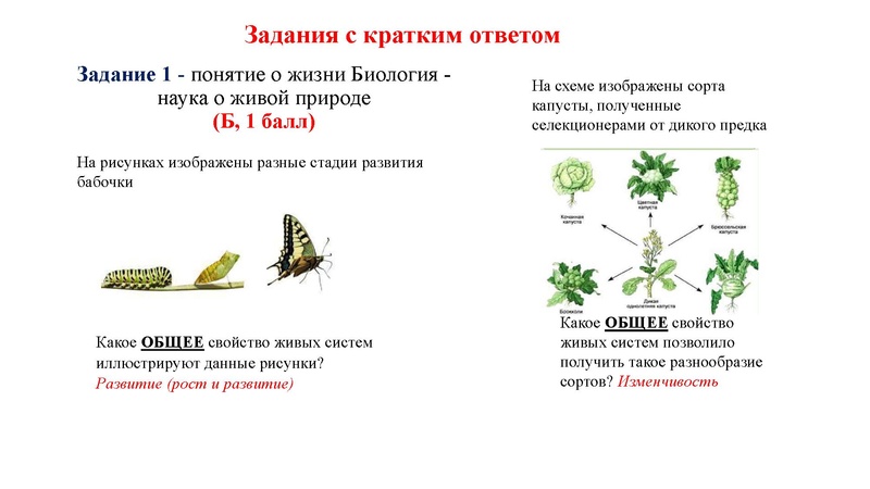 Файл:02.03.26 Сложные задания ГИА биология.pdf