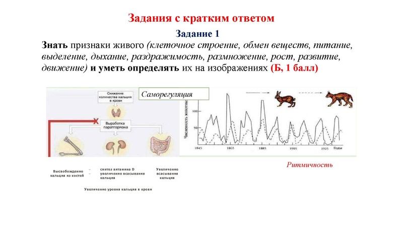 Файл:02.03.26 Сложные задания ГИА биология.pdf