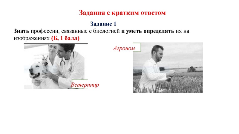Файл:02.03.26 Сложные задания ГИА биология.pdf