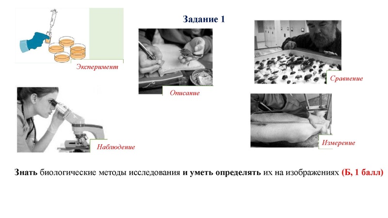 Файл:02.03.26 Сложные задания ГИА биология.pdf