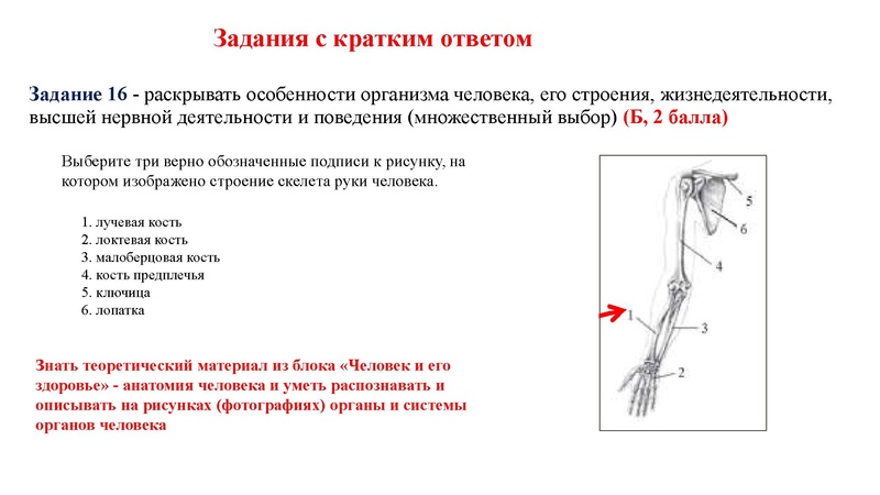 Файл:02.03.26 Сложные задания ГИА биология.pdf