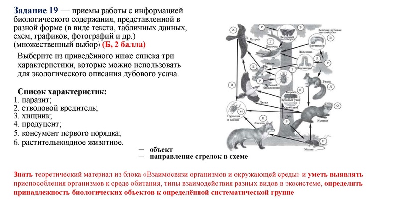 Файл:02.03.26 Сложные задания ГИА биология.pdf