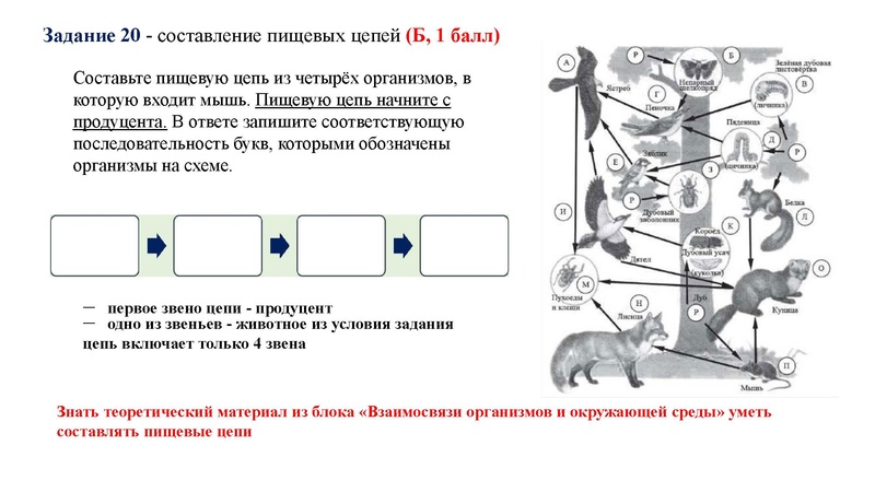 Файл:02.03.26 Сложные задания ГИА биология.pdf