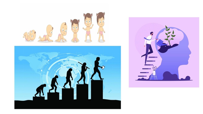 Файл:СТАДИЯ ВЫЗОВА.pdf