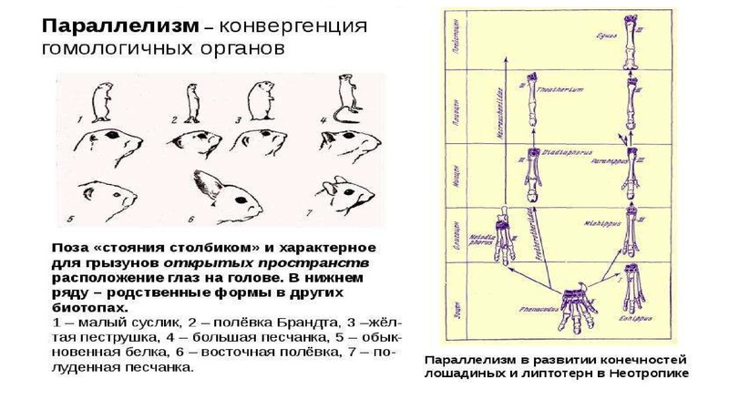 Файл:Школьники ТЭ 17.01.26.pdf