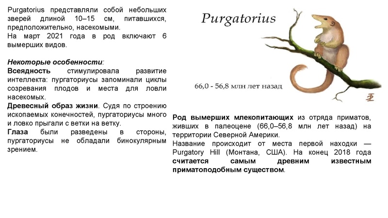 Файл:Школьники ТЭ 17.01.26.pdf