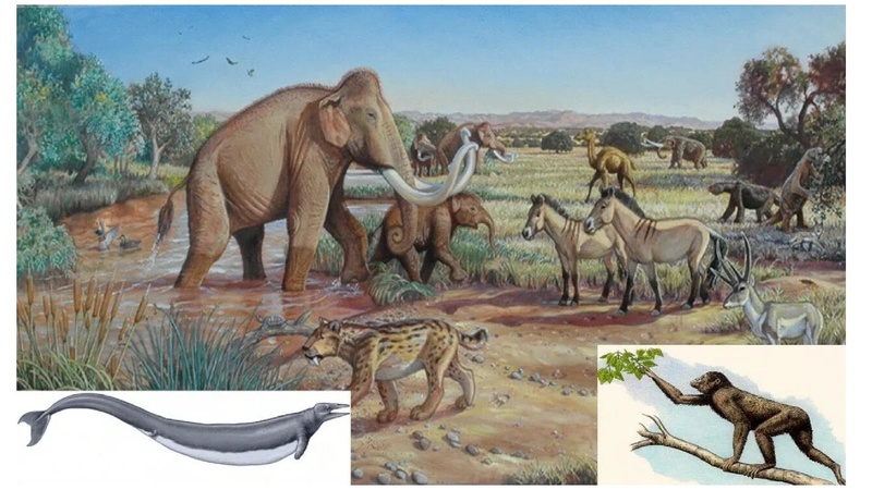 Файл:Школьники ТЭ 17.01.26.pdf