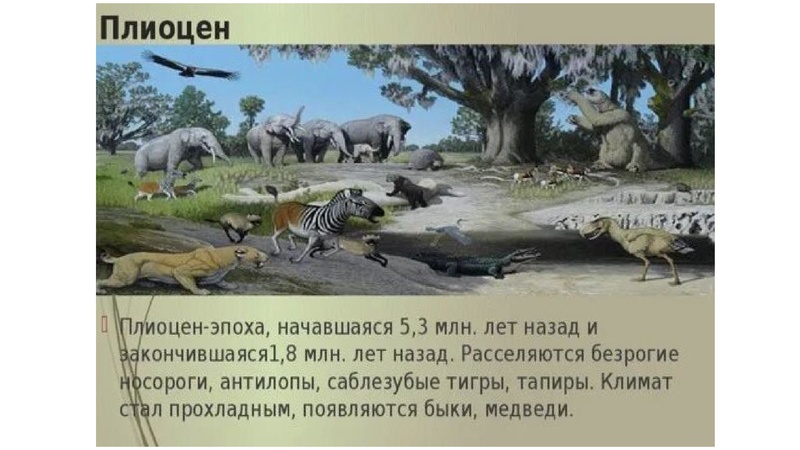 Файл:Школьники ТЭ 17.01.26.pdf