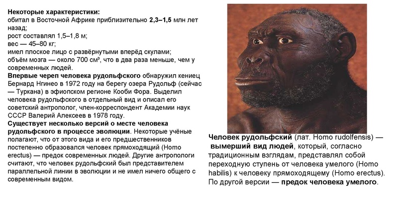 Файл:Школьники ТЭ 17.01.26.pdf