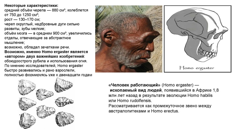 Файл:Школьники ТЭ 17.01.26.pdf