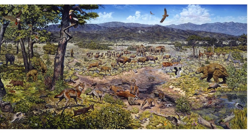 Файл:Школьники ТЭ 17.01.26.pdf