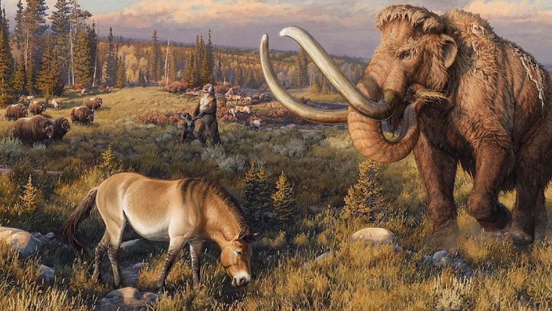 Файл:Школьники ТЭ 17.01.26.pdf