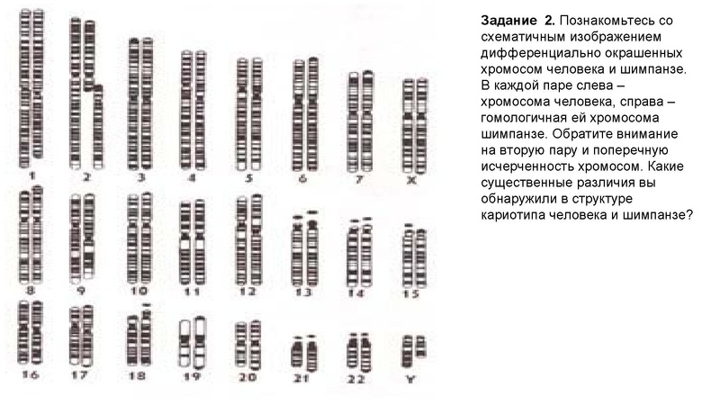 Файл:Школьники ТЭ 17.01.26.pdf