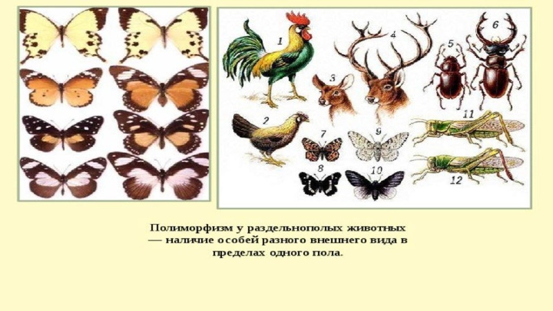 Файл:Школьники ТЭ 17.01.26.pdf