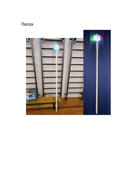 Файл:Проекты РЭВсОШ 2026.pdf