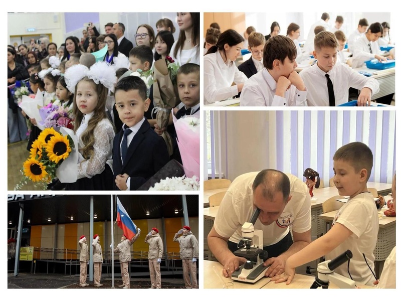 Файл:Презентация Три курса — одна траектория Зайцева Ж.В..pdf