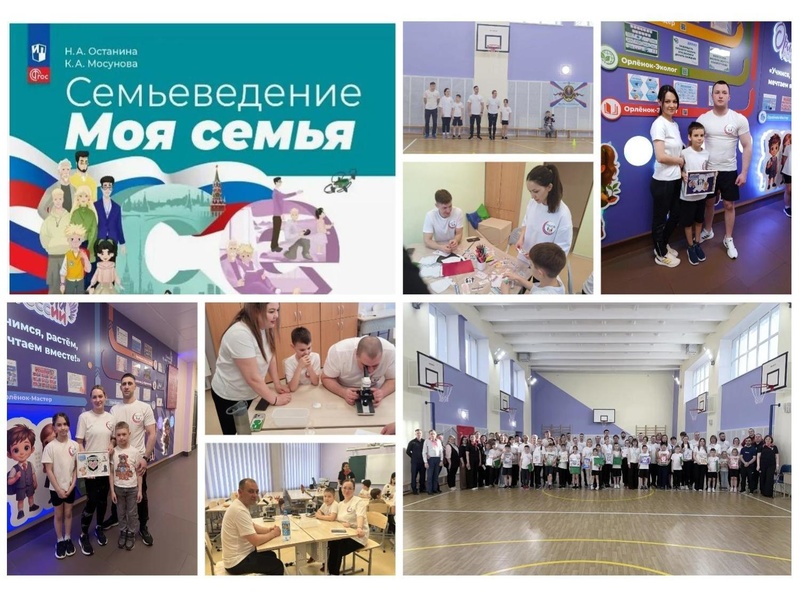 Файл:Презентация Три курса — одна траектория Зайцева Ж.В..pdf