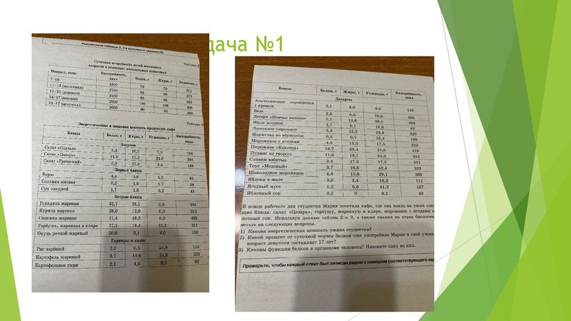 Файл:Консультация по подготовке к ОГЭ по биологии.pdf