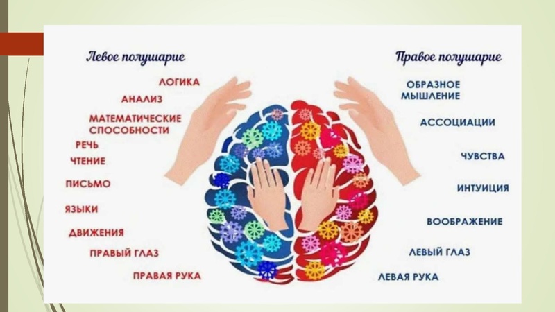 Файл:23. Семинара-практикума использование нейропсихологических игр Трофимова А.Г..pdf