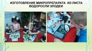 ← предыдущая страница